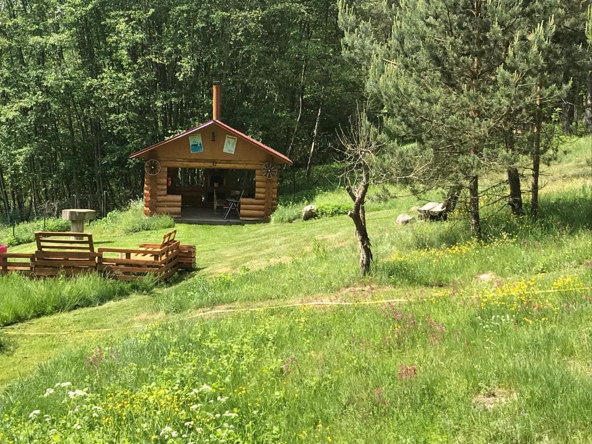 Nature Retreat "Upes Dizvietas" Kraslava Exterior photo